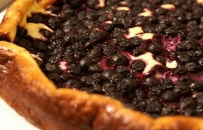 Rgime Dukan (recette minceur) : Cheesecake faon tarte aux myrtilles #dukan https://www.proteinaute.com/recette-cheesecake-facon-tarte-aux-myrtilles-6045.html