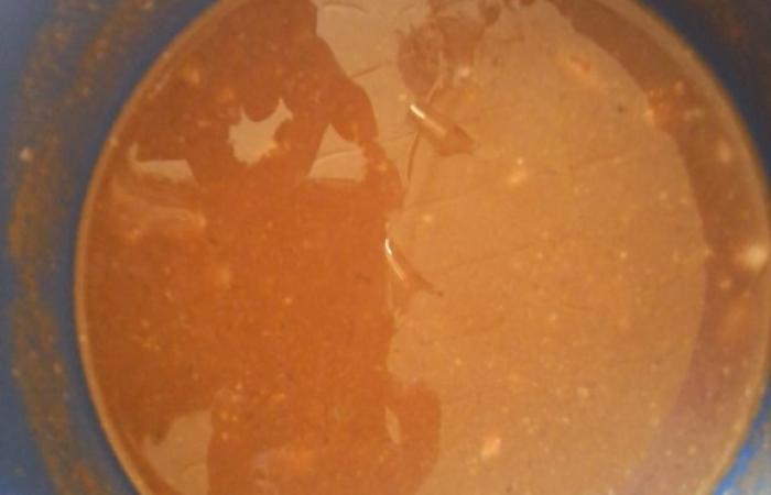 Rgime Dukan (recette minceur) : Sauce aux chalotes  #dukan https://www.proteinaute.com/recette-sauce-aux-echalotes-6132.html