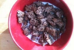 Recette Dukan : C�r�ales aux 2 sons et chocolat