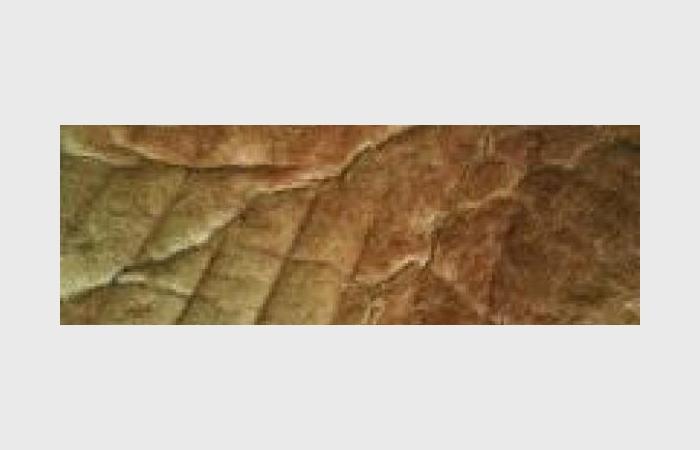 R�gime Dukan (recette minceur) : P�te a pizza plutot ferme  #dukan https://www.proteinaute.com/recette-pate-a-pizza-plutot-ferme-6430.html