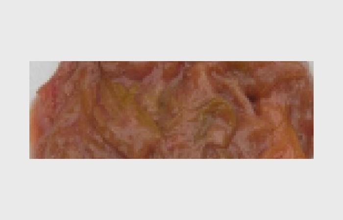 Régime Dukan (recette minceur) : Compote de rhubarde aux épices #dukan https://www.proteinaute.com/recette-compote-de-rhubarde-aux-epices-6454.html