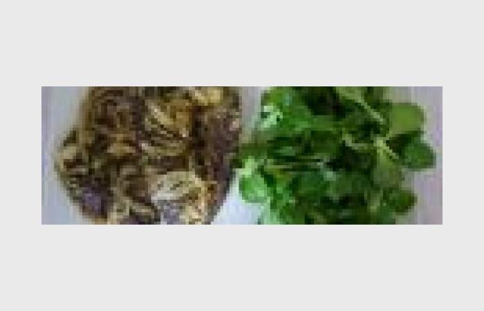 Rgime Dukan (recette minceur) : Foie de boeuf aux oignons et salade de mche #dukan https://www.proteinaute.com/recette-foie-de-boeuf-aux-oignons-et-salade-de-mache-6733.html
