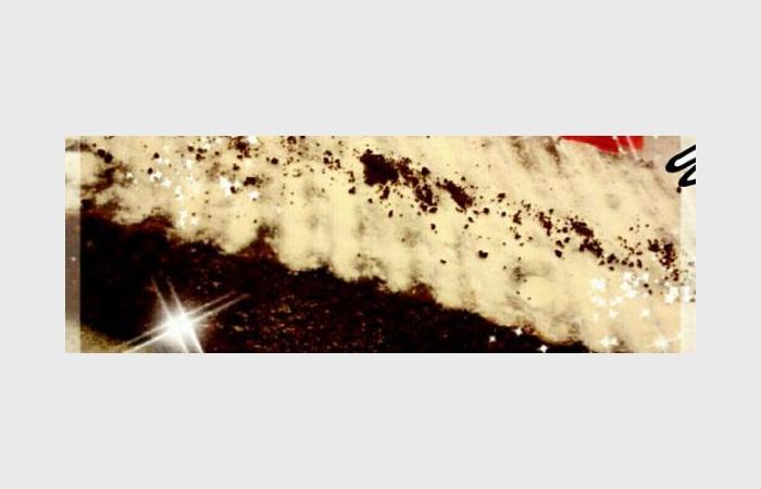 Régime Dukan (recette minceur) : Tiramisu Nougat Praline - Turrón de Praline de Tiramisu #dukan https://www.proteinaute.com/recette-tiramisu-nougat-praline-turron-de-praline-de-tiramisu-6815.html