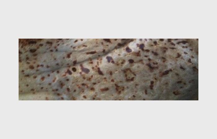 R�gime Dukan (recette minceur) : Cr�pes Suzette et sa sauce au chocolat  #dukan https://www.proteinaute.com/recette-crepes-suzette-et-sa-sauce-au-chocolat-7003.html