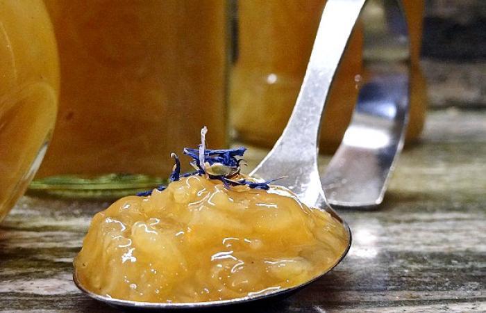 R�gime Dukan (recette minceur) : C�drat un jour... c�drat toujours! #dukan https://www.proteinaute.com/recette-cedrat-un-jour-cedrat-toujours-7385.html