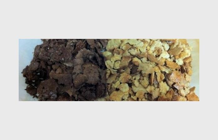 R�gime Dukan (recette minceur) : Corn flakes maison Dukan #dukan https://www.proteinaute.com/recette-corn-flakes-maison-dukan-8044.html