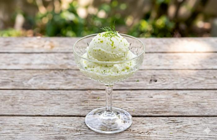 R�gime Dukan (recette minceur) : Sorbet citron vert #dukan https://www.proteinaute.com/recette-sorbet-citron-vert-862.html