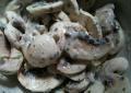 Recette Dukan : Salade de champignons au ponzu