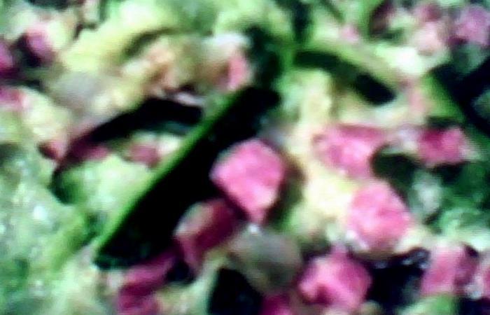 Régime Dukan (recette minceur) : Courgettes carbonara #dukan https://www.proteinaute.com/recette-courgettes-carbonara-8832.html
