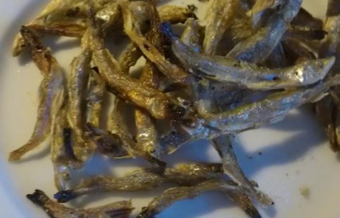 Régime Dukan (recette minceur) : Petite friture sans huile façon dudu #dukan https://www.proteinaute.com/recette-petite-friture-sans-huile-facon-dudu-8928.html
