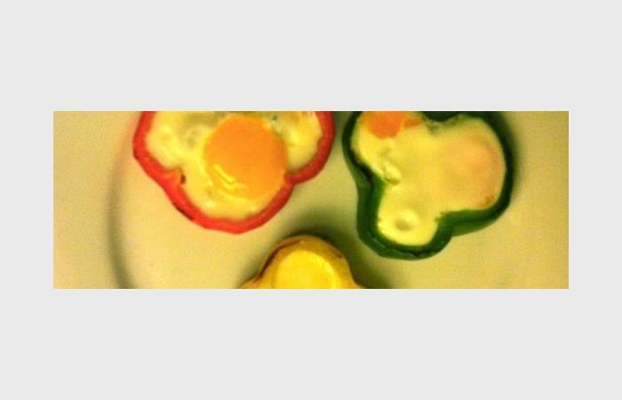 Régime Dukan (recette minceur) : Bell pepper egg ring #dukan https://www.proteinaute.com/recette-bell-pepper-egg-ring-9590.html