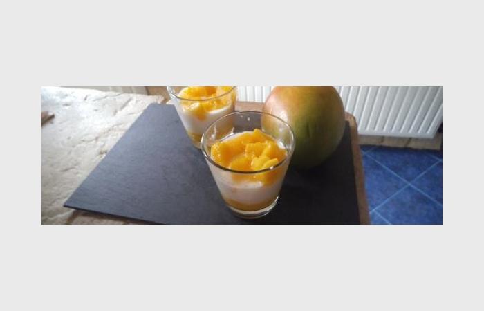R�gime Dukan (recette minceur) : Panacotta mangue ananas  #dukan https://www.proteinaute.com/recette-panacotta-mangue-ananas-9721.html